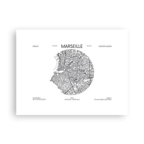 Affisch - Marseilles anatomi - 40x30 cm