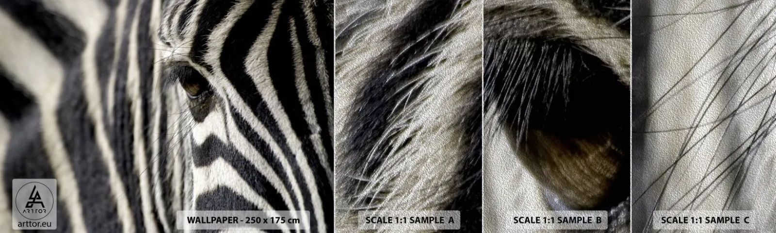 Provbit av fototapet Premium Sand - Randig porträtt - Djur, Revben, Afrika - 100x30 cm