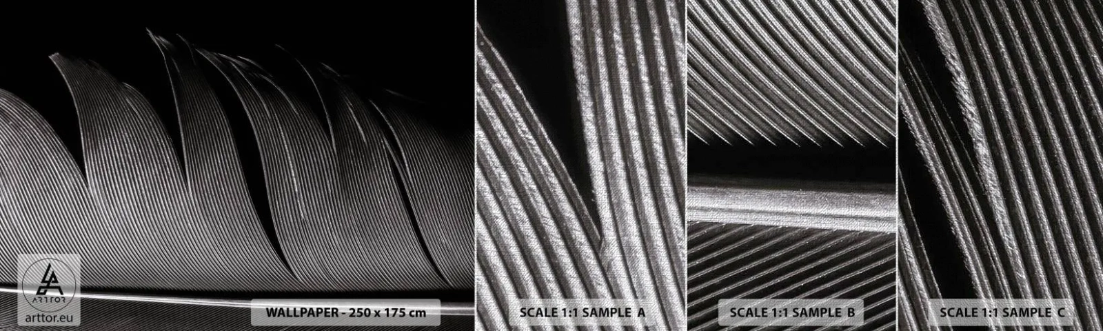 Provbit av fototapet Premium Canvas - Fjäder - en underbar konstruktion - Penna, Minimalism, Lätthet - 100x30 cm