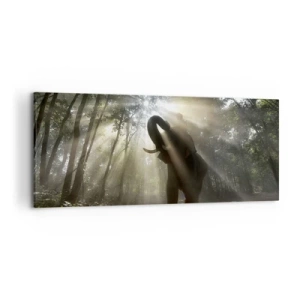 Canvastavla - Bild på duk - Under en lycklig stjärna - 120x50 cm
