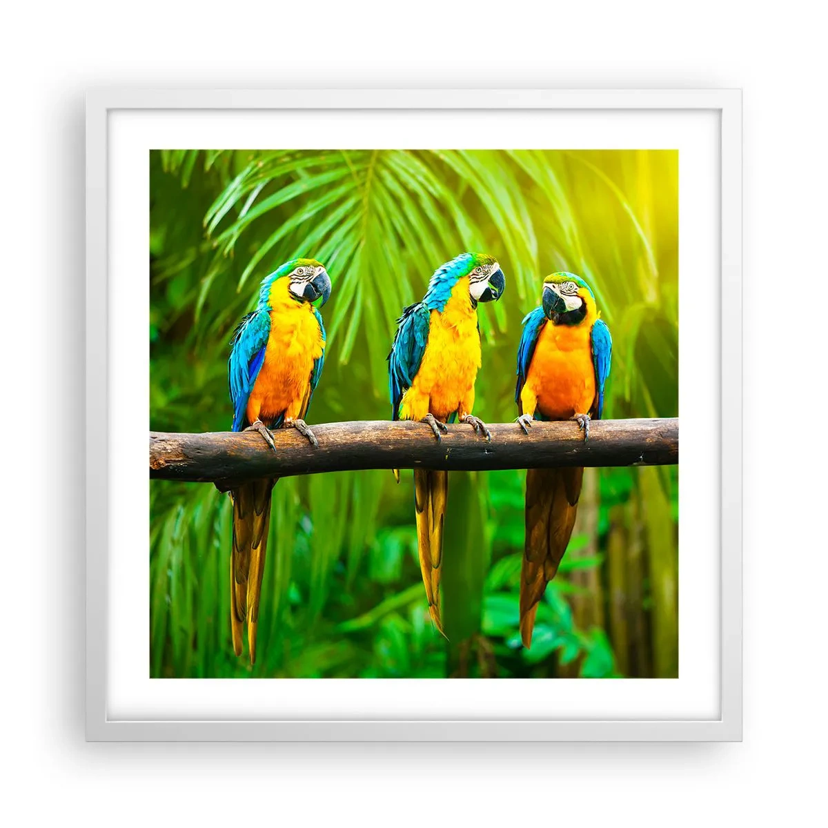 Affisch i vit ram - Har du hört att hon...? - 50x50 cm