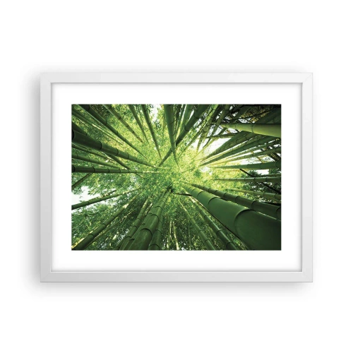 Affisch i vit ram - I en bambushage - 40x30 cm
