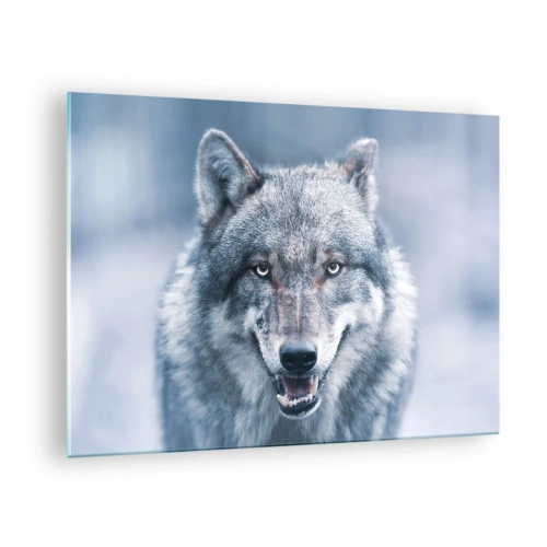 Glastavla - Bild på glas - En varg med en genomträngande blick mot bakgrunden av en snöig skog - 70x50cm - Tar du utmaningen? - Modern väggdekoration för vardagsrum och sovrum ARTTOR
