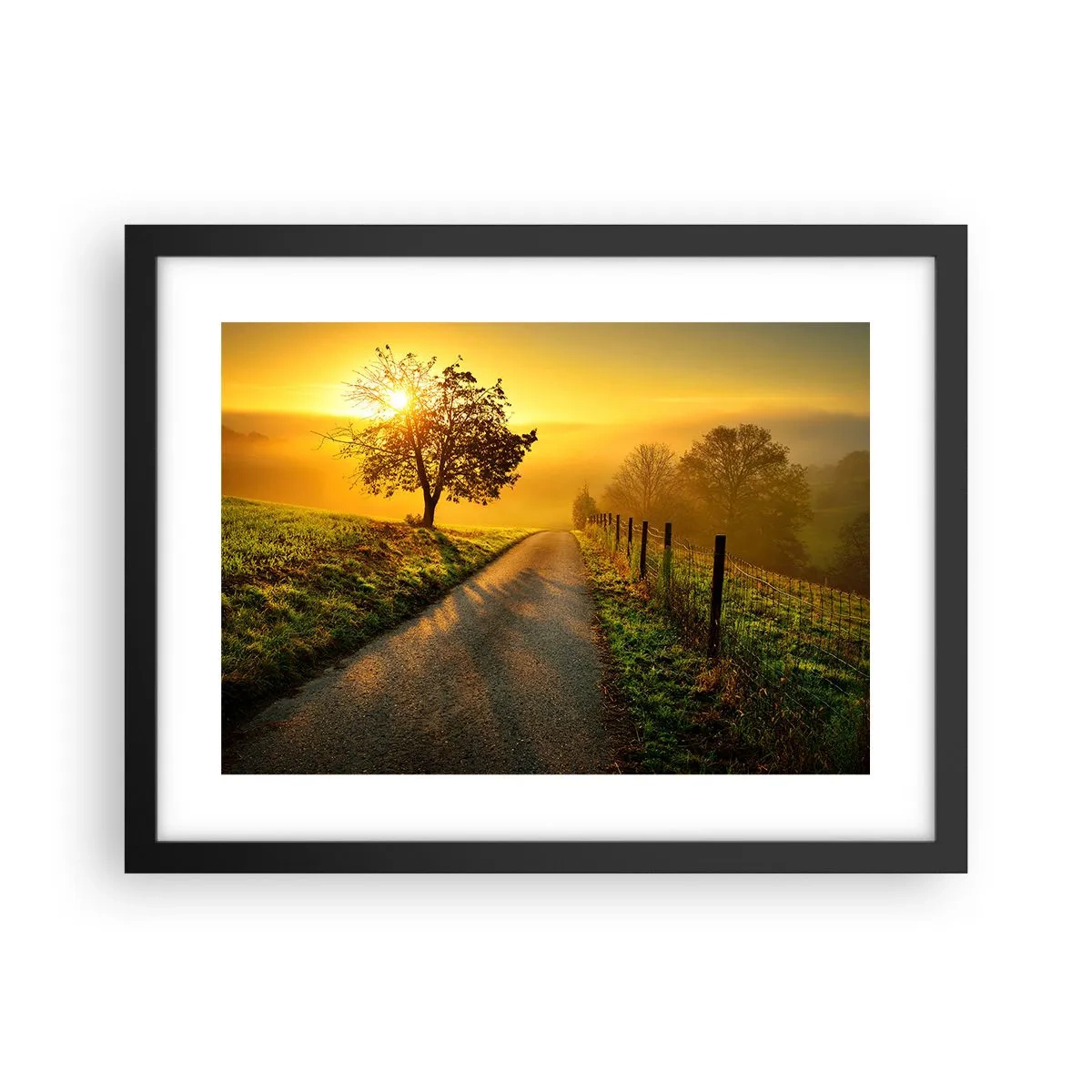 Affisch i svart ram - Honungfärgad eftermiddag - 40x30 cm