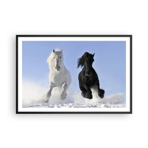 Affisch i svart ram - Svart-vit galopp - 91x61 cm