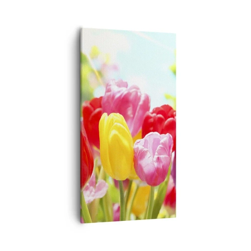 Canvastavla - Bild på duk - Det är vi, majfärgerna! - 55x100 cm