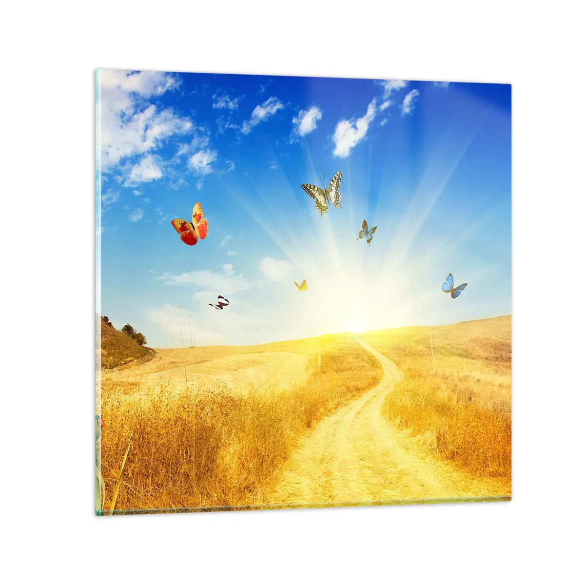 Glastavla - Bild på glas - Varför vi älskar sommaren? - 50x50 cm