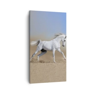 Canvastavla - Bild på duk - Den vackraste arabiska sagan - 45x80 cm