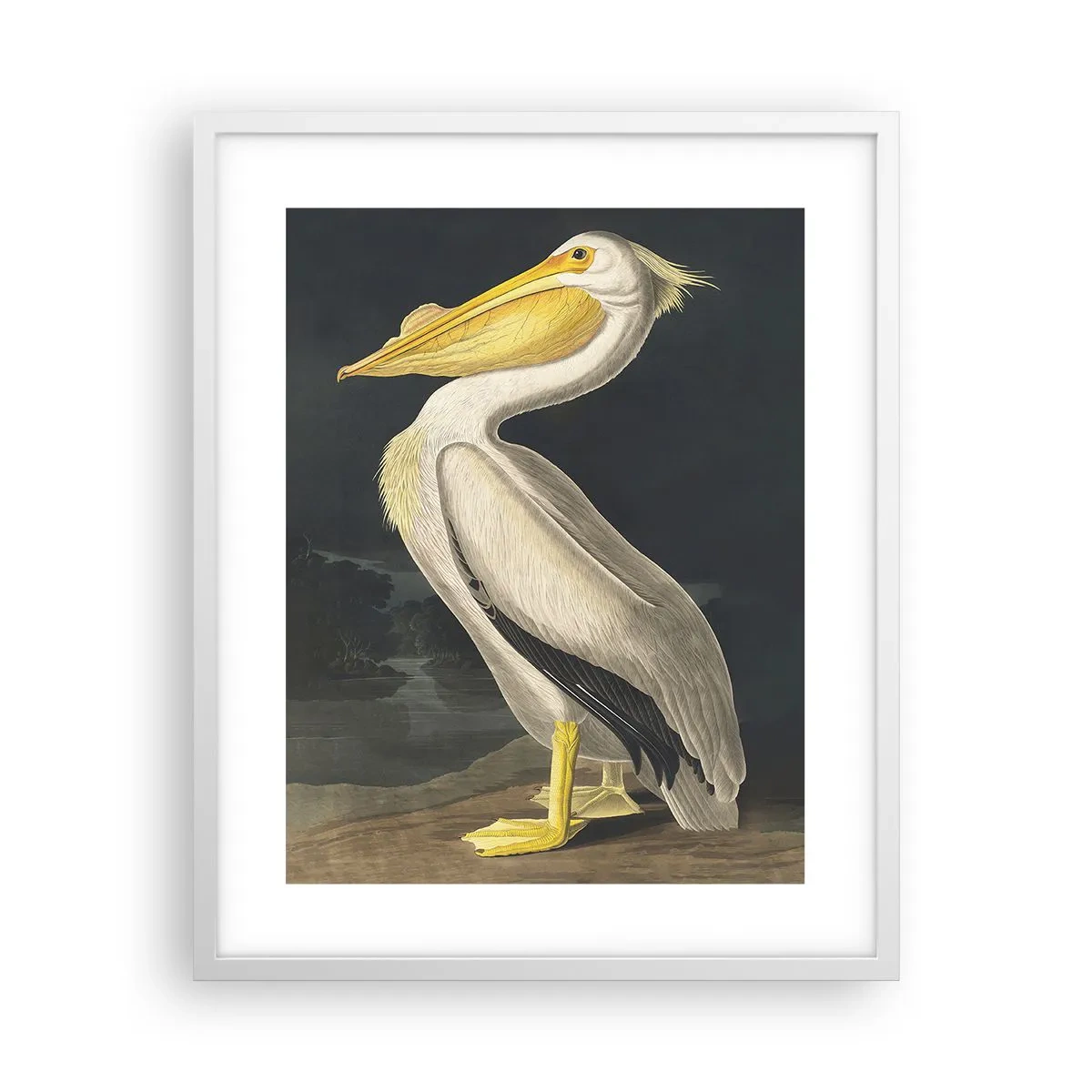 Affisch i vit ram - Full av stolthet - 40x50 cm