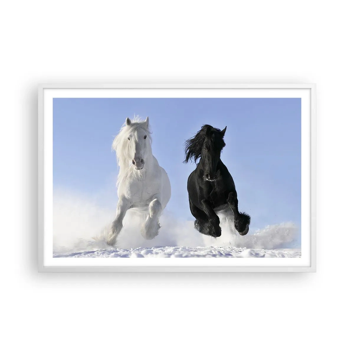 Affisch i vit ram - Svart-vit galopp - 91x61 cm