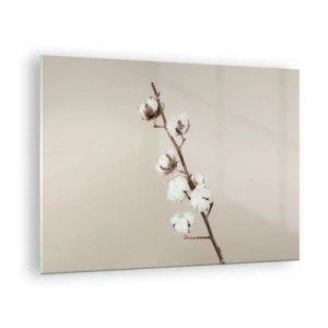 Glastavla - Bild på glas - En kvist bomull på en ljus, minimalistisk bakgrund - 70x50cm - Hos mjukhetens källa - Modern väggdekoration för vardagsrum och sovrum ARTTOR
