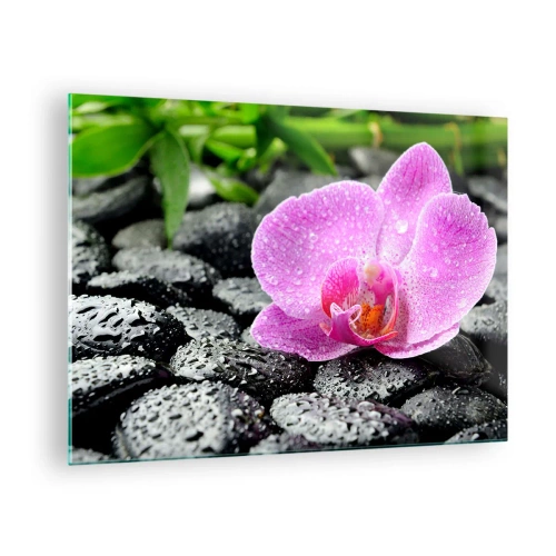 Glastavla - Bild på glas - Rosa orkidéblomma på våta svarta stenar - 70x50cm - Som öppet hjärta - Modern väggdekoration för vardagsrum och sovrum ARTTOR