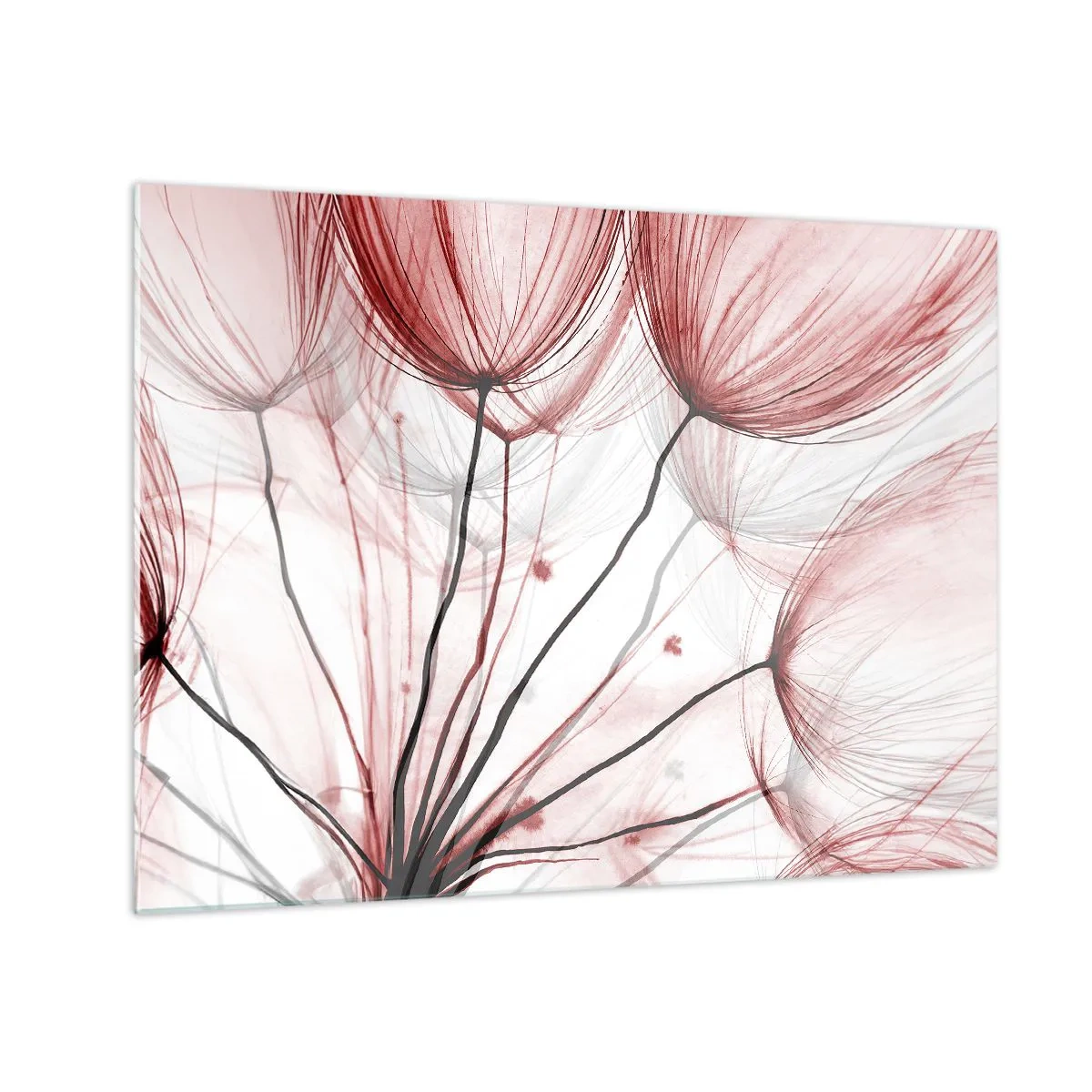 Glastavla - Bild på glas - Subtila maskrosor i nyanser av rosa och svart - 70x50cm - Före avresan - Modern väggdekoration för vardagsrum och sovrum ARTTOR