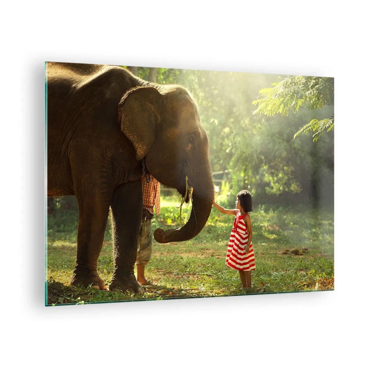 Glastavla - Bild på glas - En flicka i en röd klänning som rör vid en elefant i skogen. - 70x50cm - Vänskapens styrka - Modern väggdekoration för vardagsrum och sovrum ARTTOR