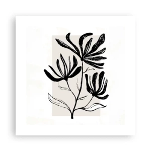 Affisch - Skiss för ett herbarium - 40x40 cm