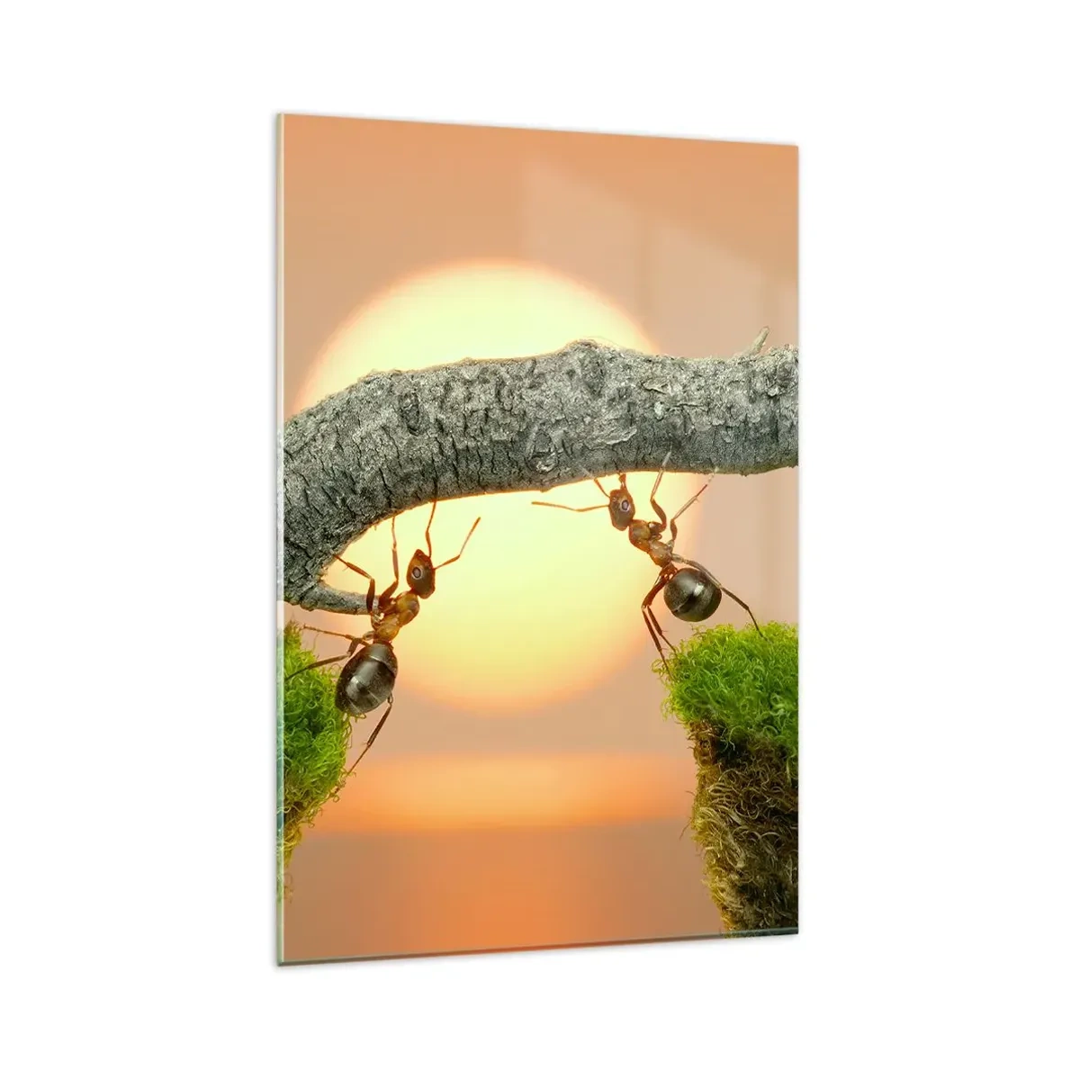 Glastavla - Bild på glas - Glatt, gemensamt arbete - 80x120 cm