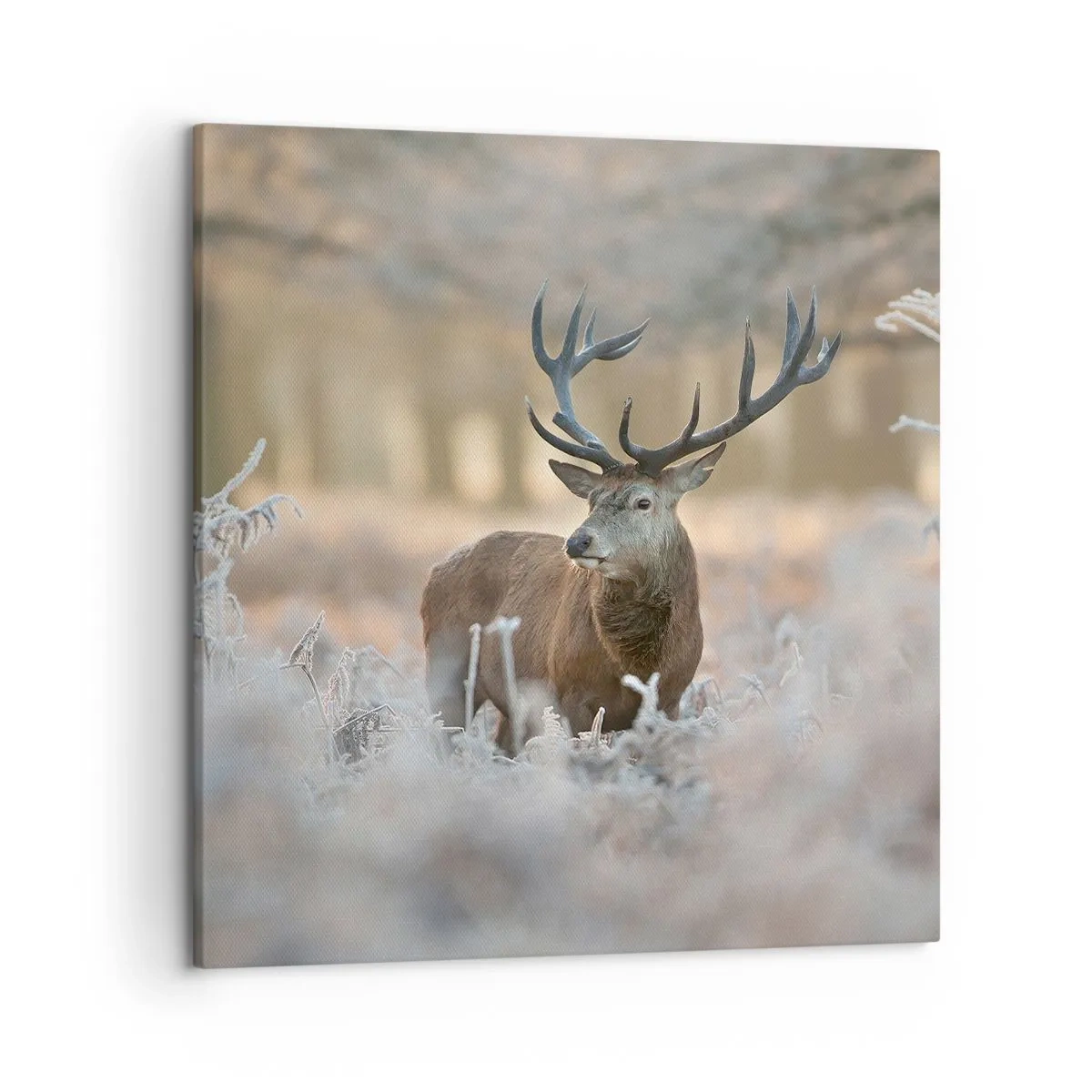 Canvastavla - Bild på duk - Uppfriskande morgon - 50x50 cm