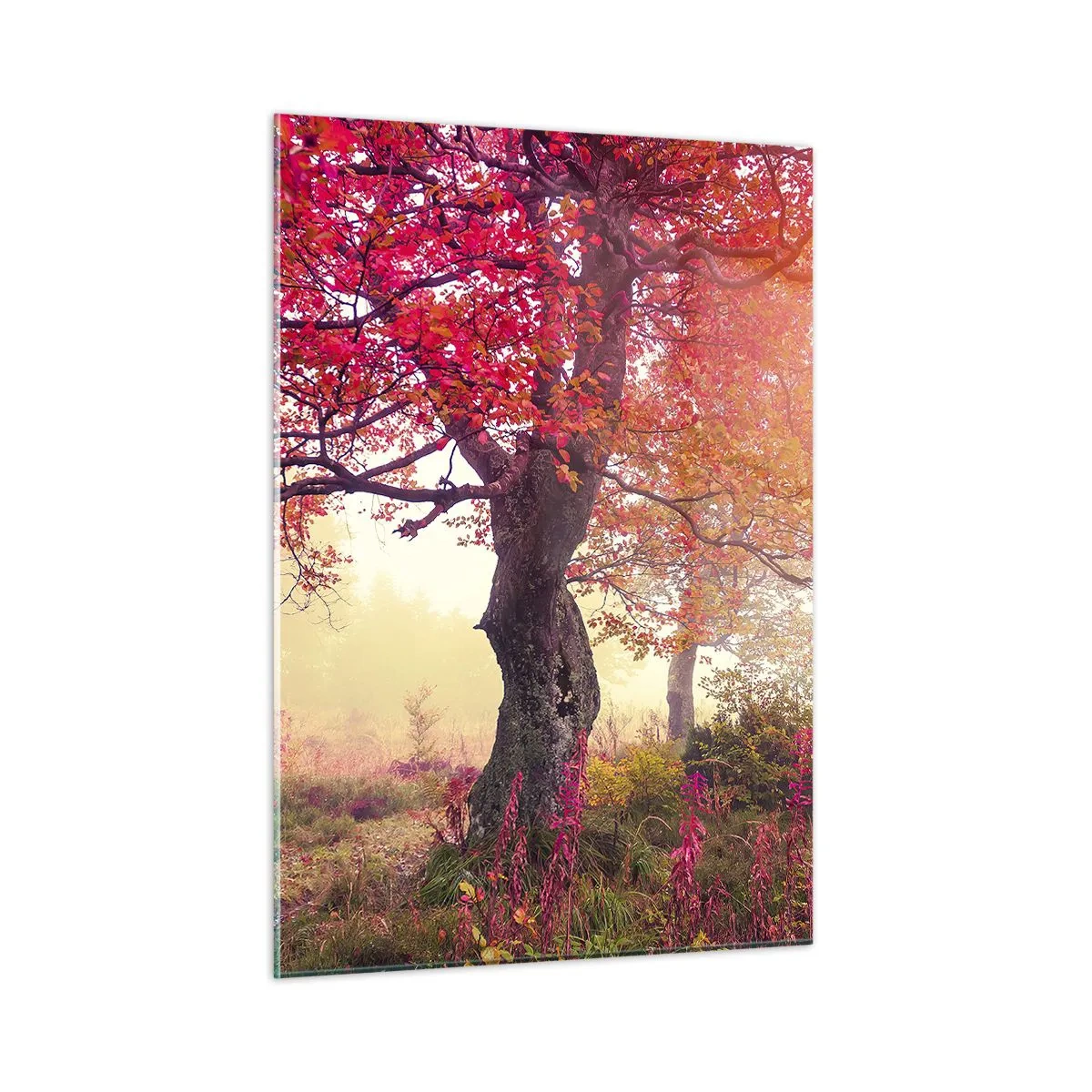 Glastavla - Bild på glas - Våldsam blommande - 50x70 cm