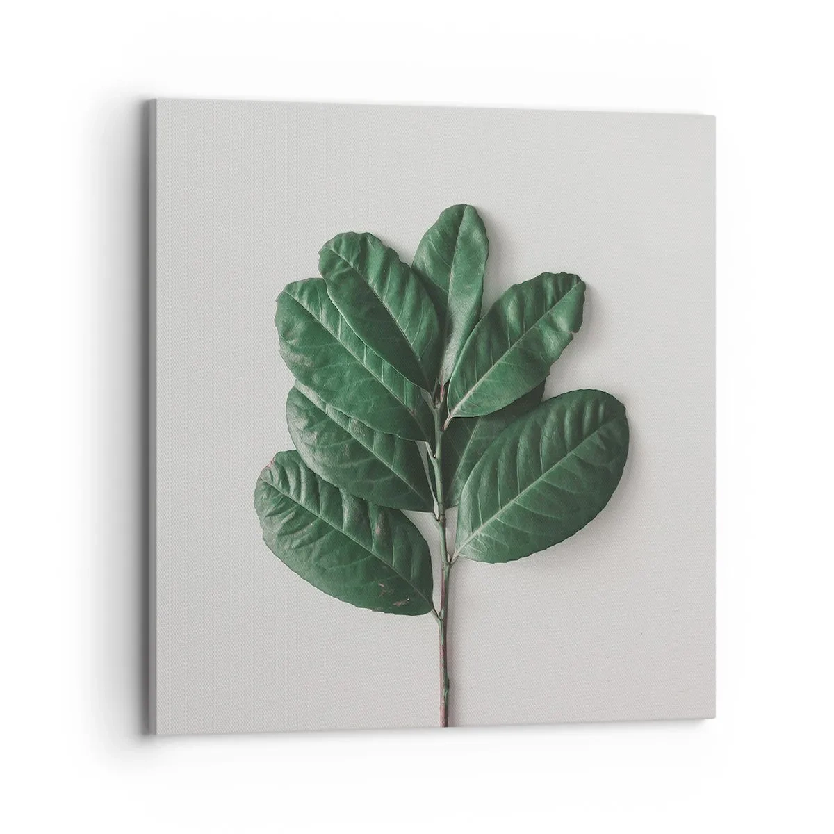 Canvastavla - Bild på duk - Själva naturens bild - 70x70 cm