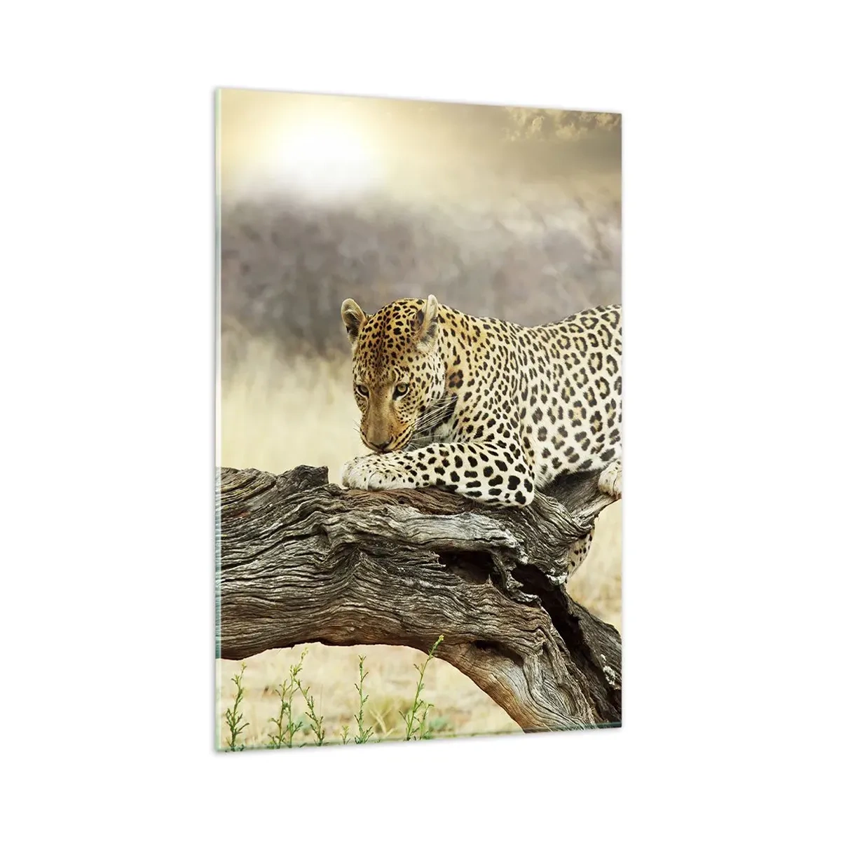 Glastavla - Bild på glas - Jag går min egen väg - 80x120 cm