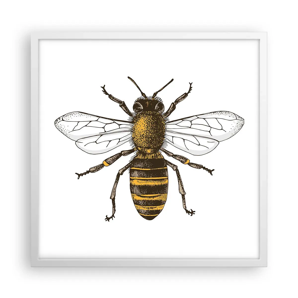 Affisch i vit ram - Vackert och bra - 50x50 cm