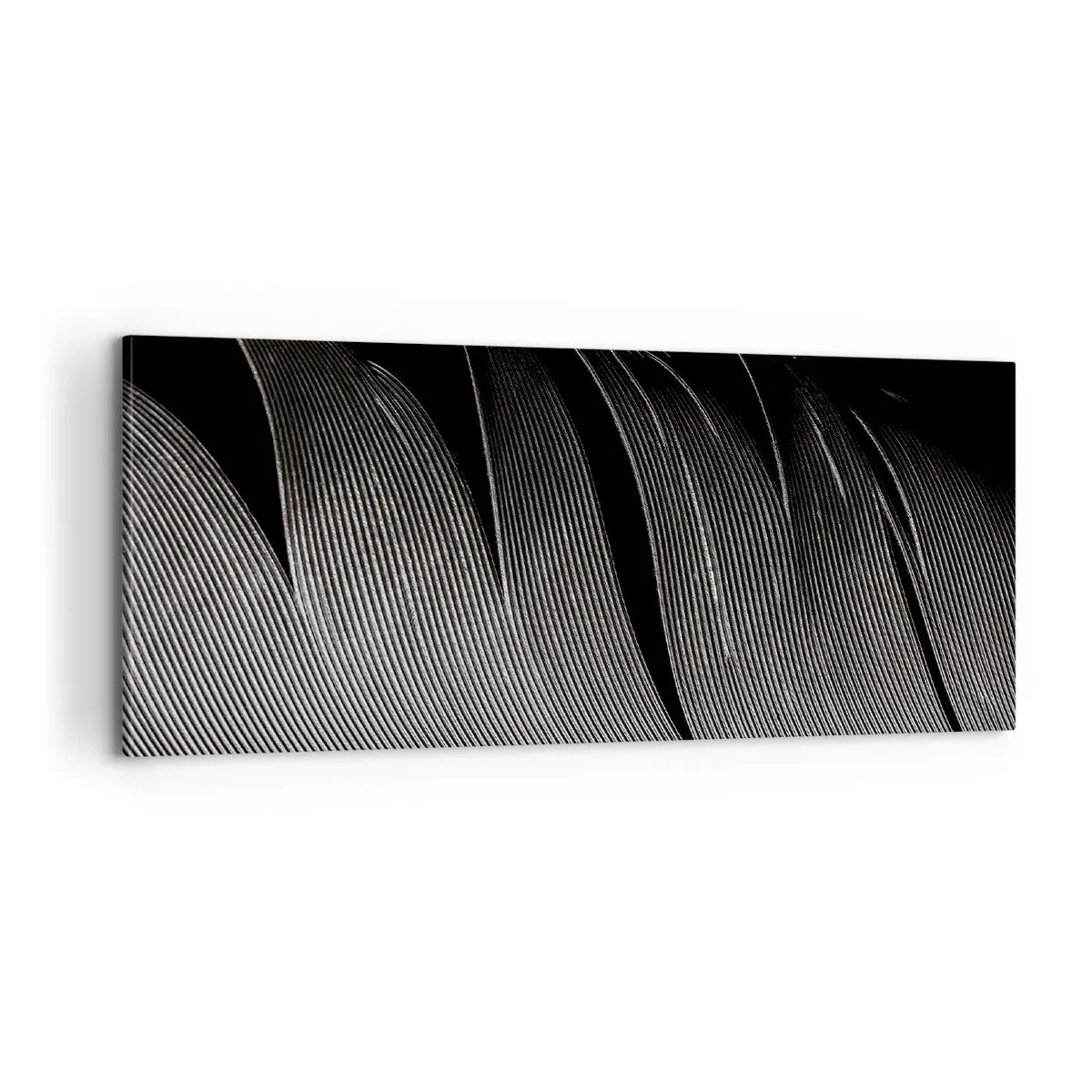 Canvastavla - Bild på duk - Fjäder - en underbar konstruktion - 100x40 cm