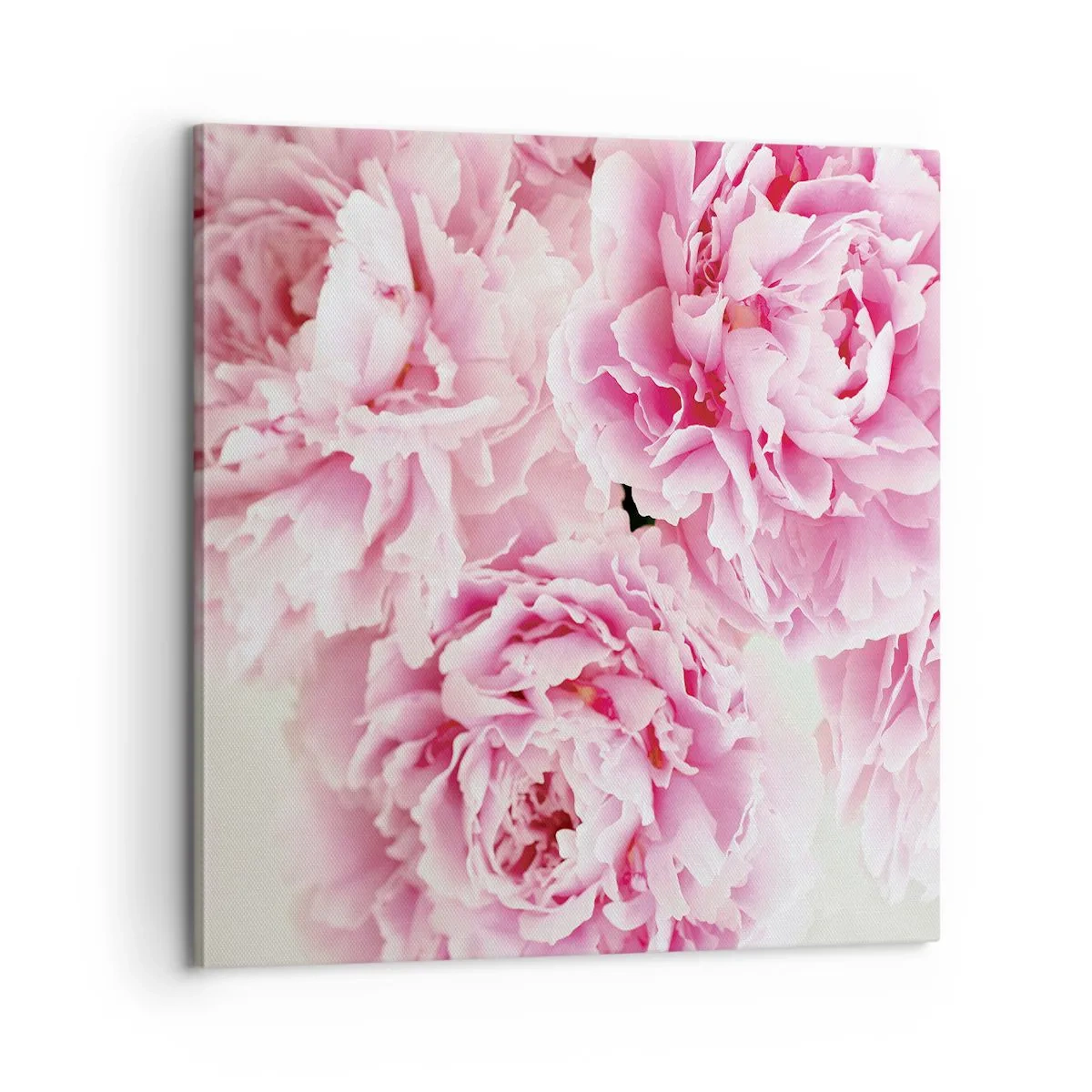 Canvastavla - Bild på duk - Rosa prakt - 60x60 cm