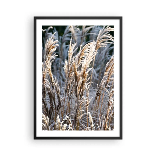 Affisch i svart ram - Torkat gräs täckt med frost i ett vinterlandskap - 50x70cm - Frostprydda - Modern väggdekoration för vardagsrum och sovrum ARTTOR
