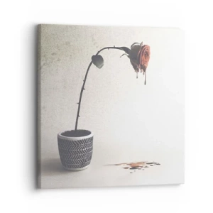 Canvastavla - Bild på duk - Rosa dolorosa - 30x30 cm