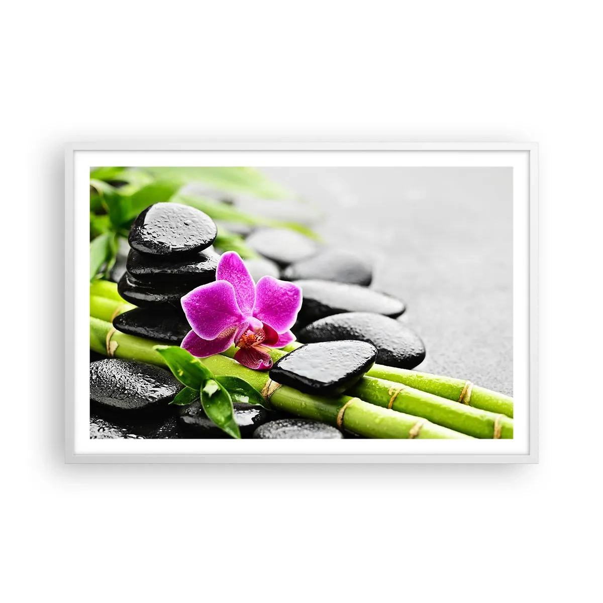 Affisch i vit ram - Lugn balans - 91x61 cm