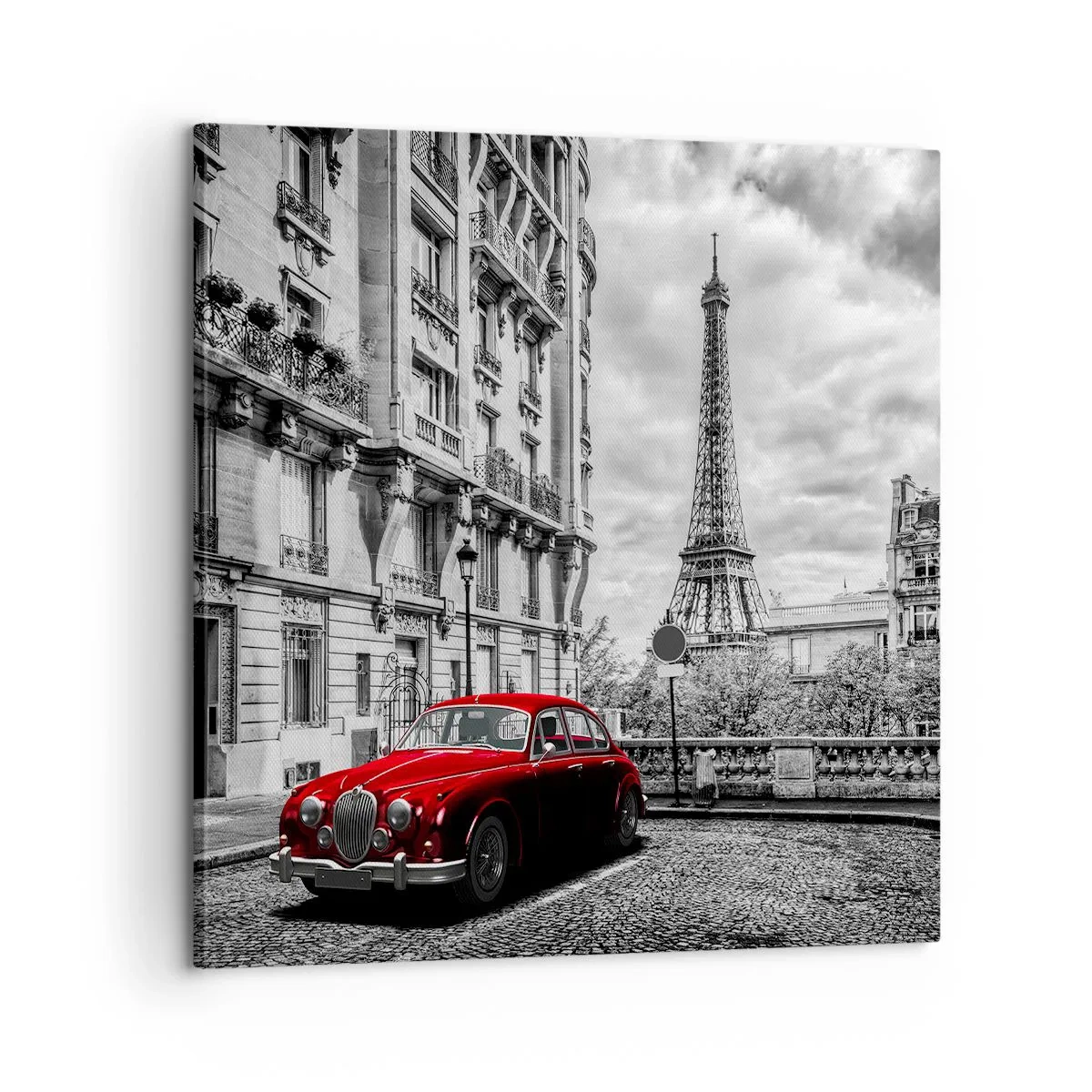 Canvastavla - Bild på duk - Rovdjuret i staden - 60x60 cm