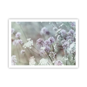 Affisch - Söta örtfiligraner - 100x70 cm