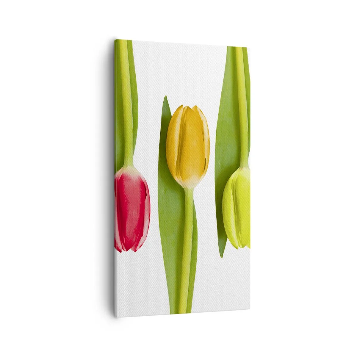 Canvastavla - Bild på duk - Regnbågskomposition - 55x100 cm