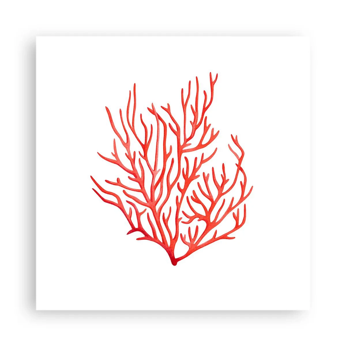 Affisch - Filigran av korall - 40x40 cm