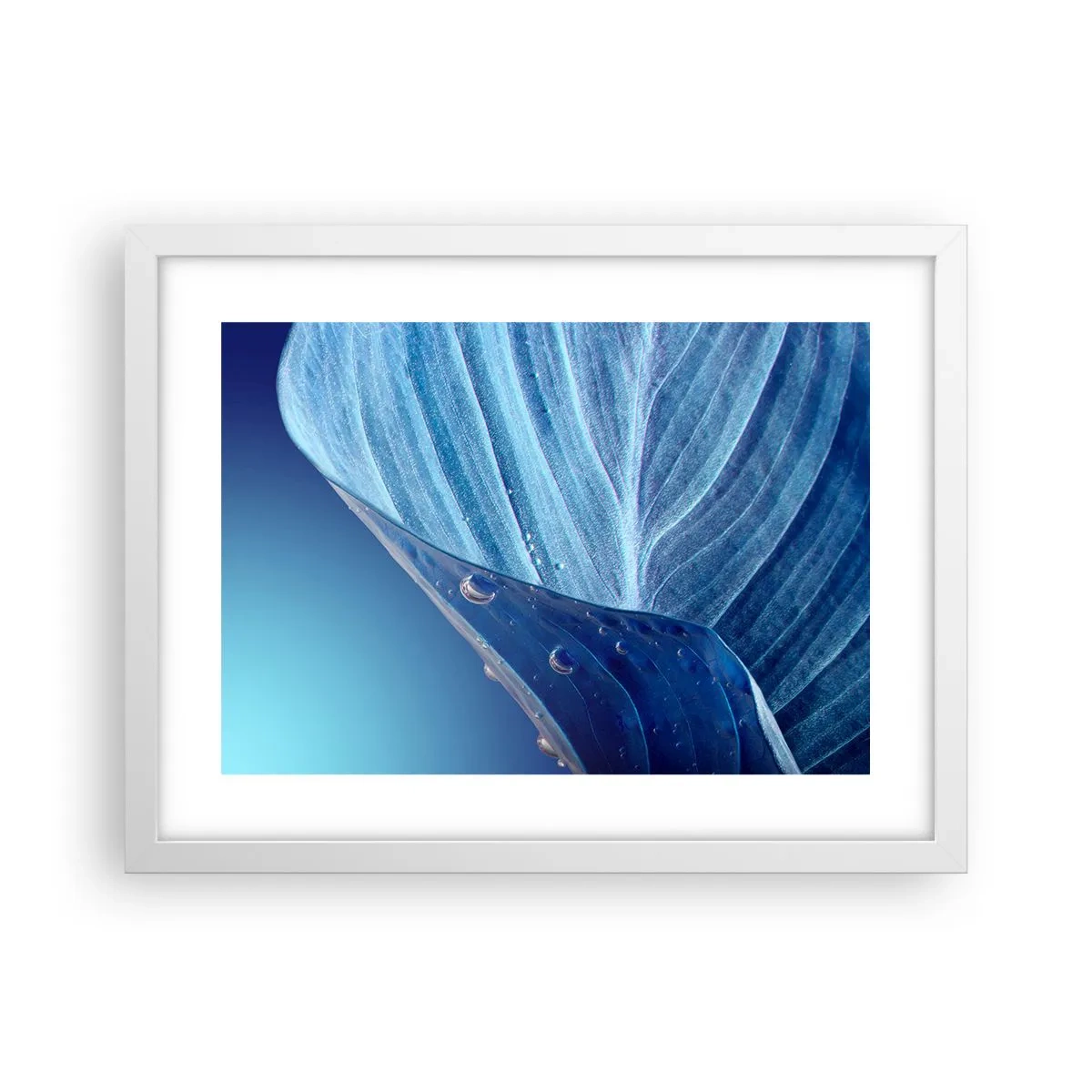 Affisch i vit ram - Dolda droppar av blått - 40x30 cm