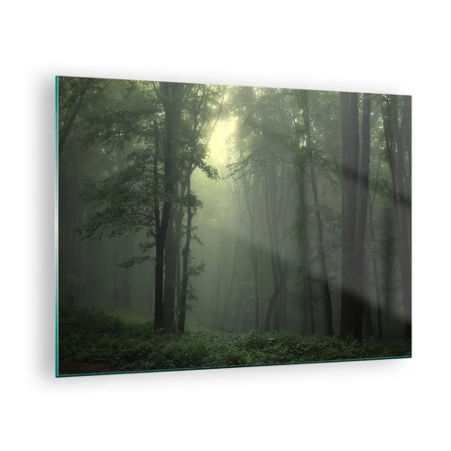Glastavla - Bild på glas - En mörk skog höljd i dimma med ljusstrålar - 70x50cm - Innan skogen vaknar - Modern väggdekoration för vardagsrum och sovrum ARTTOR