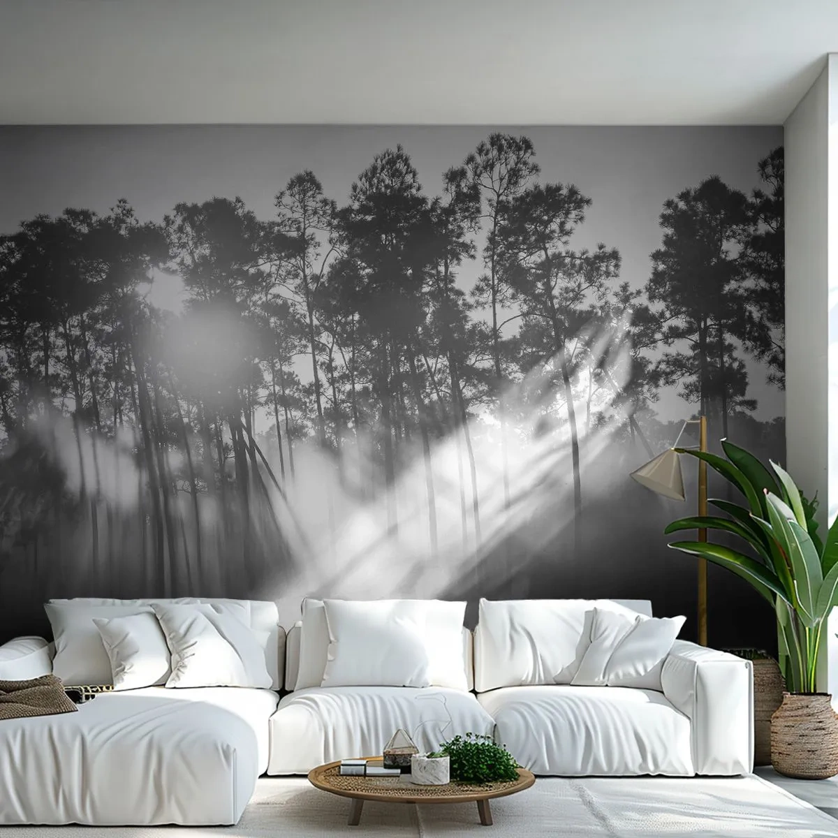 Självhäftande Fototapet Deluxe Sticker - Ostoppad sol - Landskap, Skog, Natur - 500x350 cm