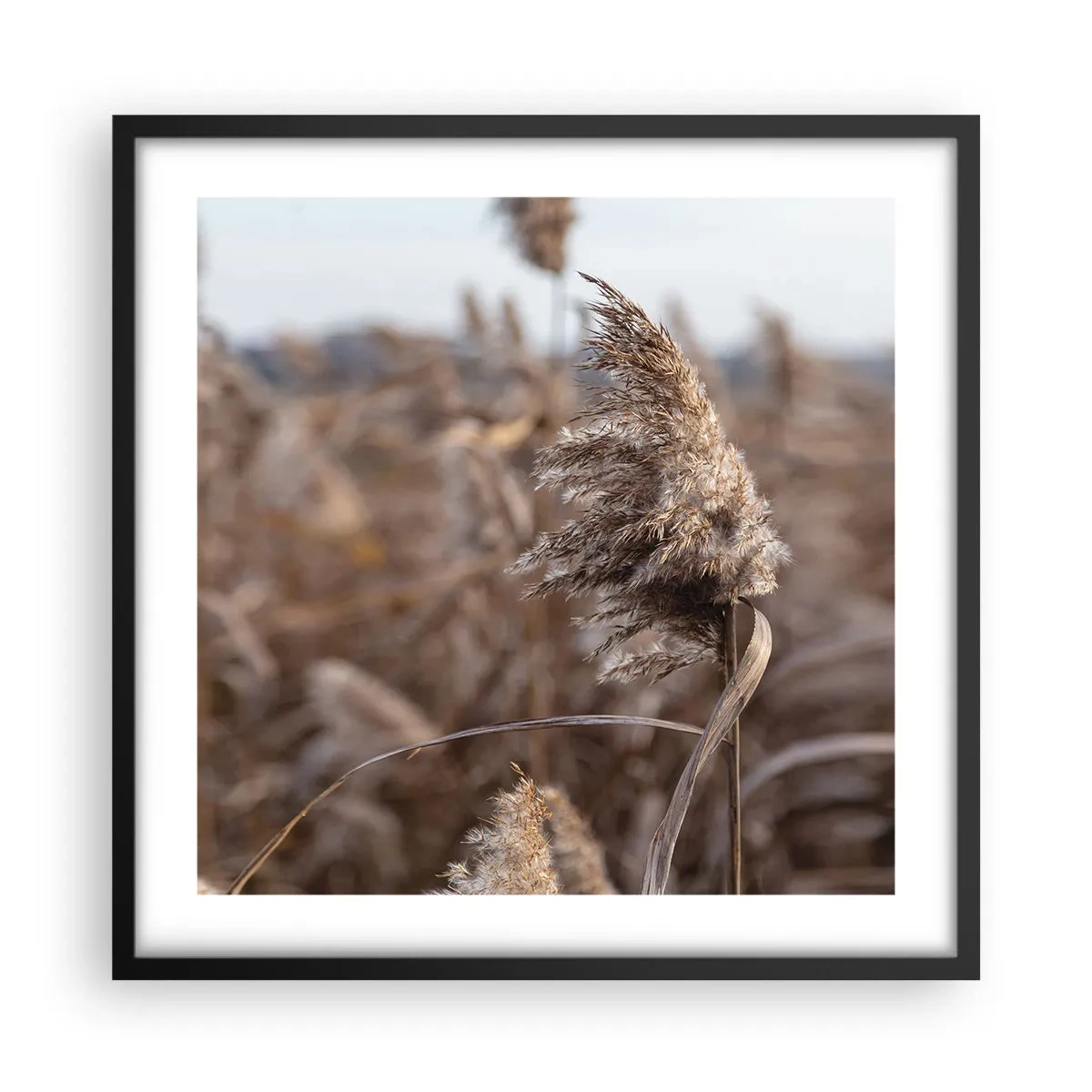 Affisch i svart ram - Dags att flyga bort med vinden - 50x50 cm