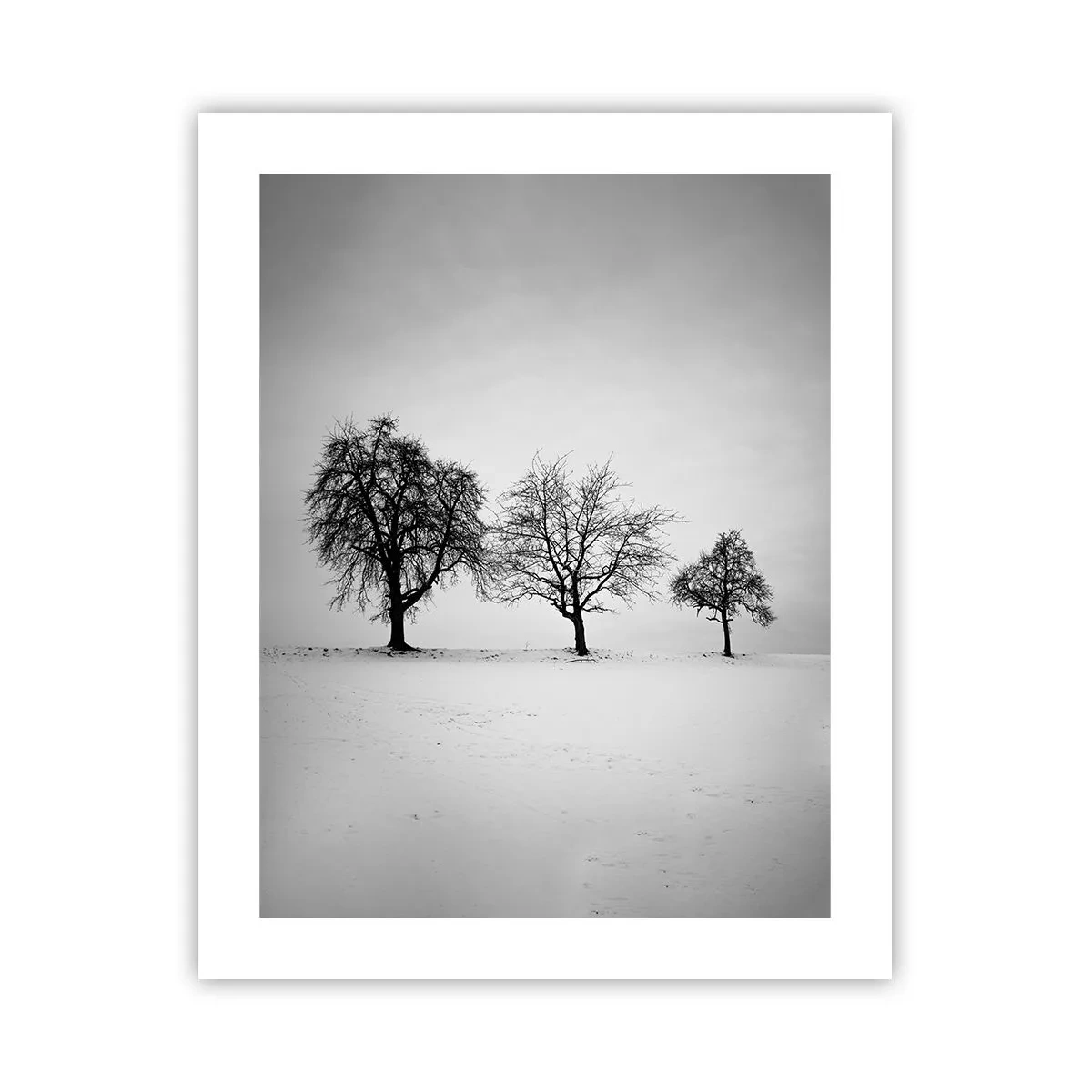 Affisch - Vad drömmer de om? - 40x50 cm