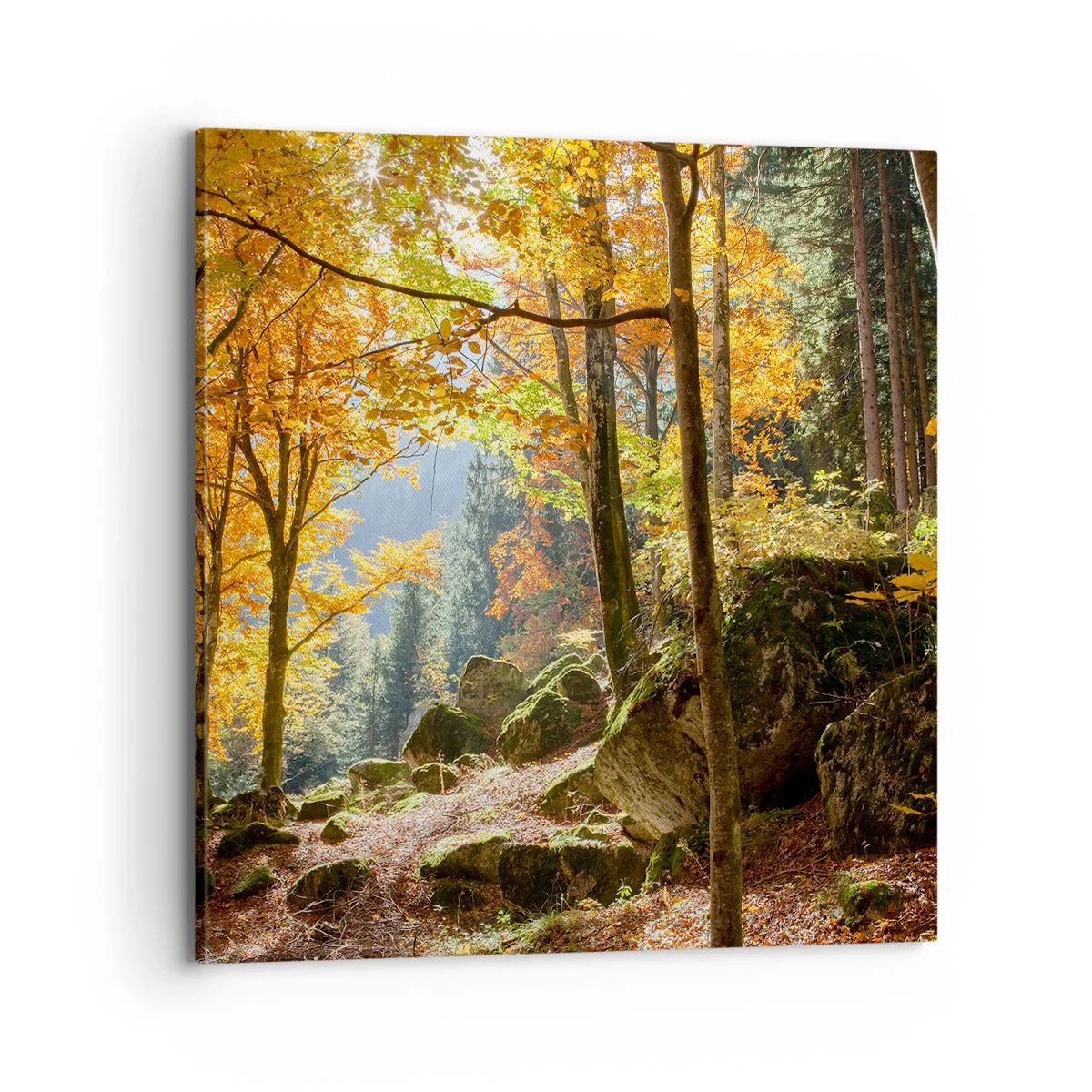 Canvastavla - Bild på duk - Dags att vila - 70x70 cm