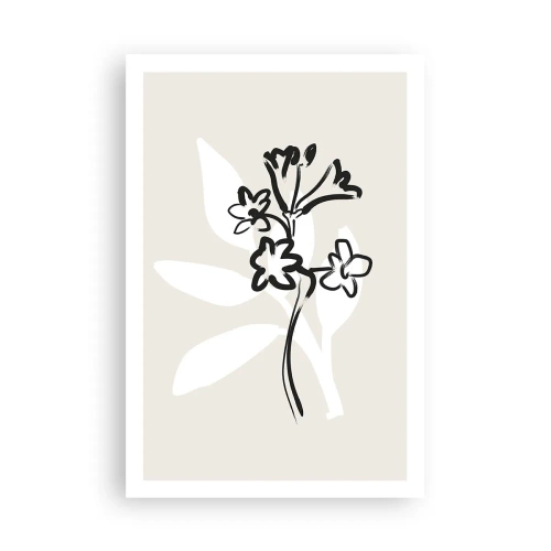 Affisch - Skiss till ett herbarium - 61x91 cm