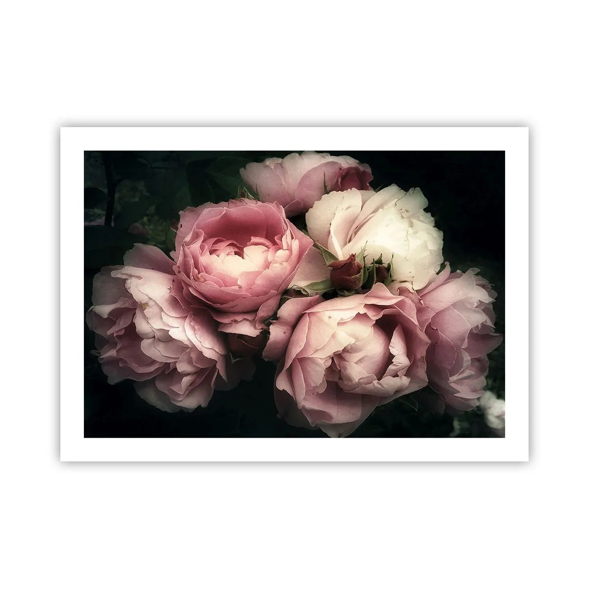 Affisch - Belle epoque charm - 70x50 cm