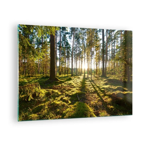 Glastavla - Bild på glas - Solstrålar som tränger igenom träden i skogen - 70x50cm - ...Bortom sjunde skogen - Modern väggdekoration för vardagsrum och sovrum ARTTOR