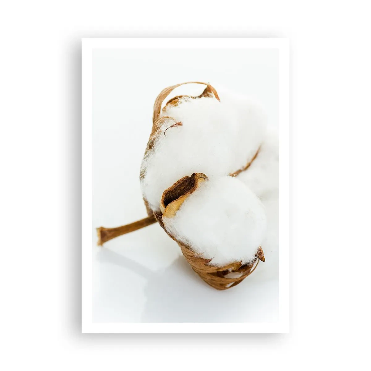 Affisch - Mjuk av naturen - 70x100 cm