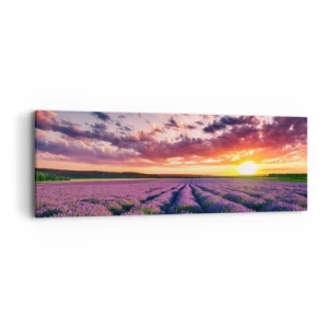 Canvastavla - Bild på duk - Lavandelvärld - 90x30 cm
