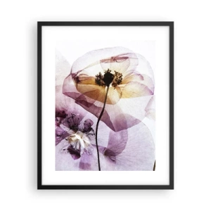 Affisch i svart ram - Blommornas transparenta kroppar - 40x50 cm