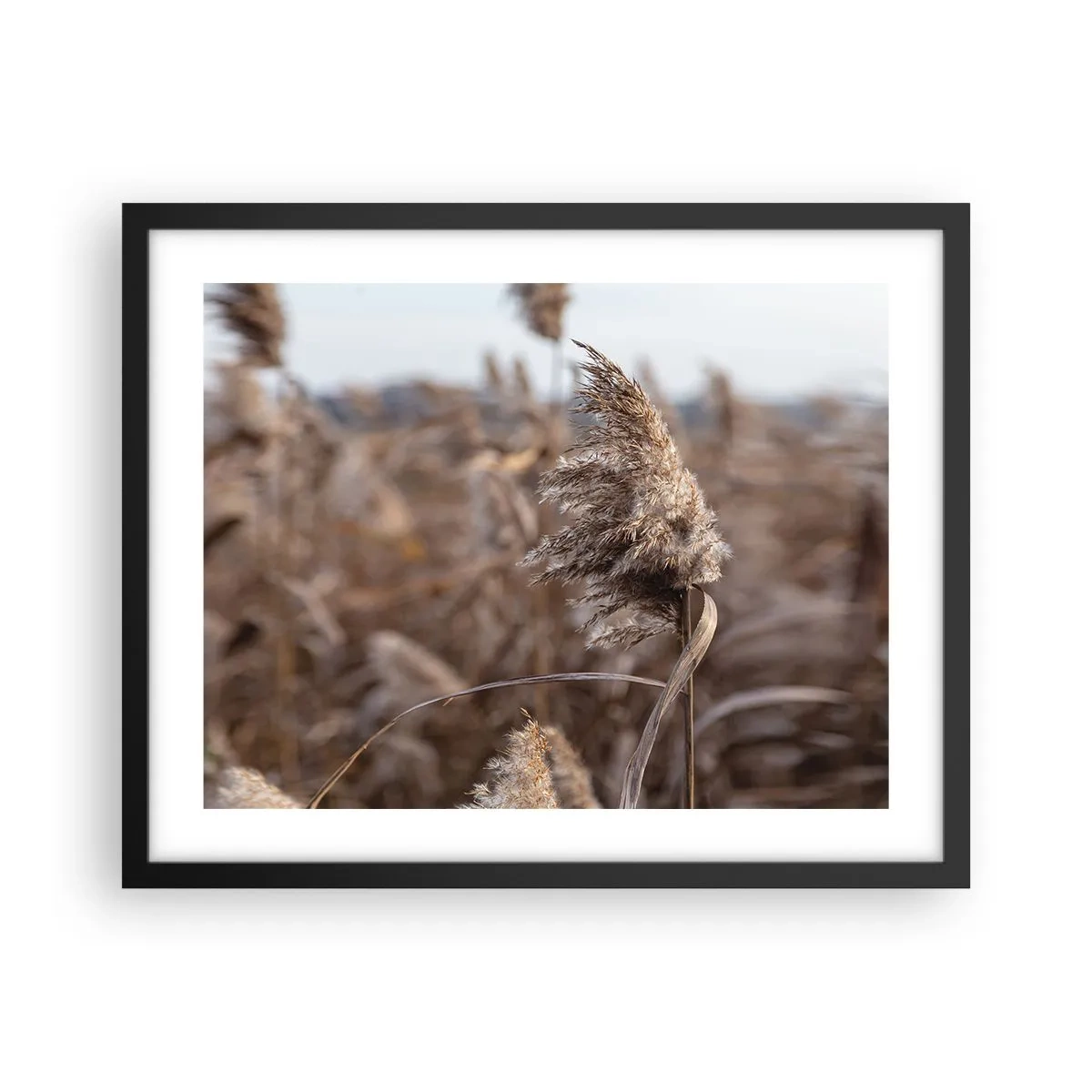 Affisch i svart ram - Dags att flyga bort med vinden - 50x40 cm