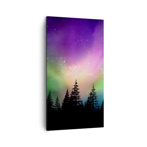 Canvastavla - Bild på duk - Vita magin - 45x80 cm