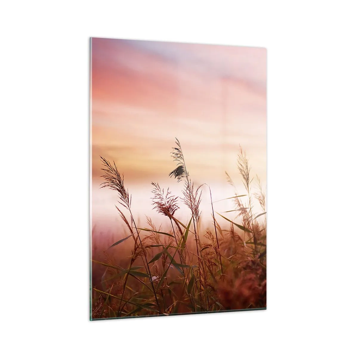 Glastavla - Bild på glas - Drakar, maskrosor, vind - 50x70 cm