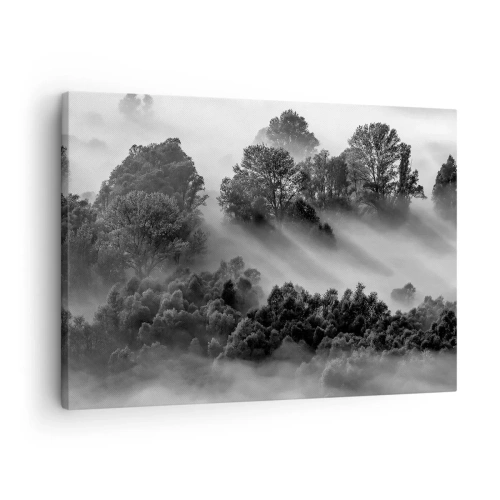 Canvastavla - Bild på duk - Svartvitt skogslandskap i morgondimman - 70x50cm - Stiger ur sömnen - Modern väggdekoration för vardagsrum och sovrum ARTTOR